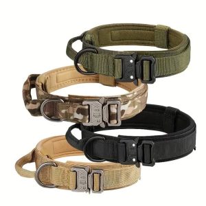 Belts (Pet Collars)